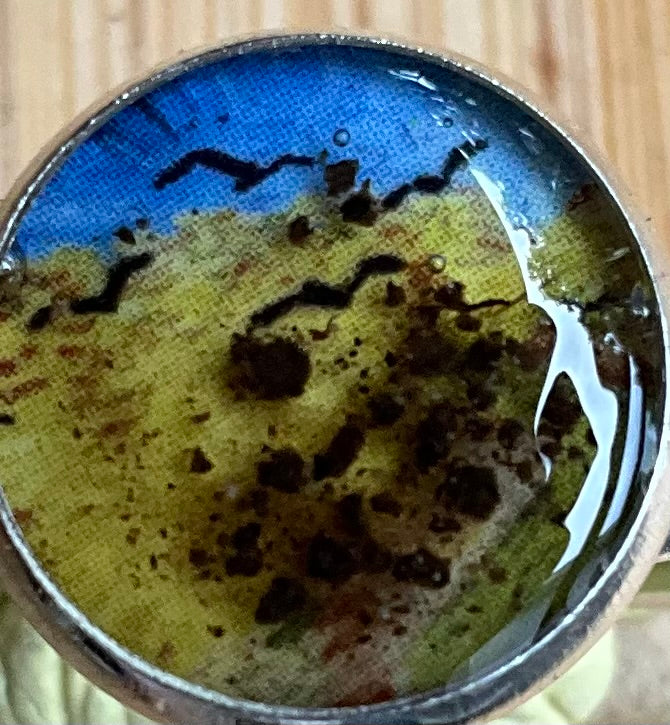 Original Earth Van Gogh Silver Plated Ring-20 mm