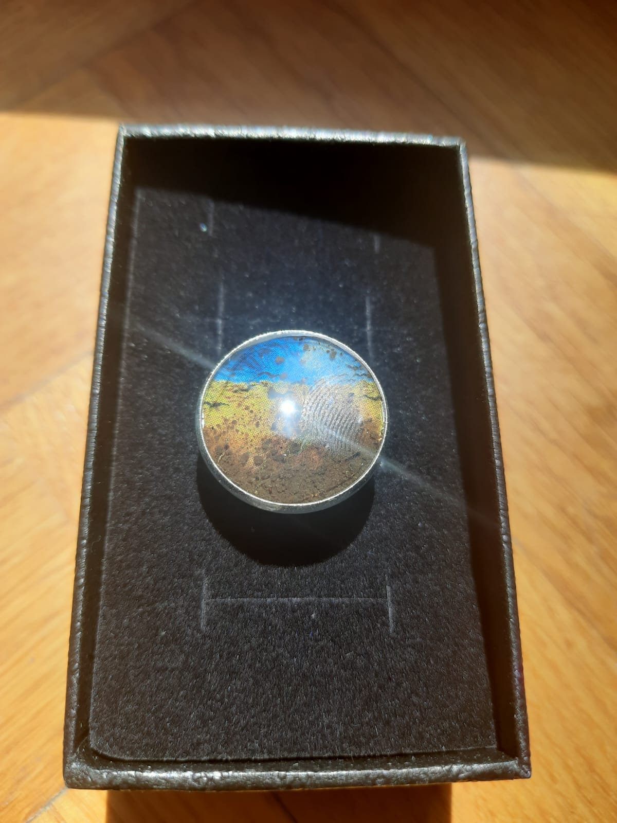 Original Earth Van Gogh Silver Plated Ring-20 mm